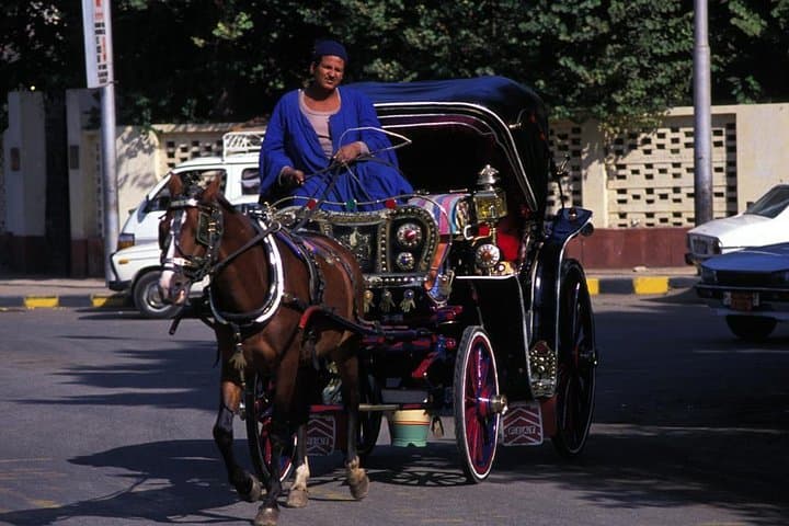 Sunset Horse-and-Carriage Tour of Aswan Along the Nile photo 4