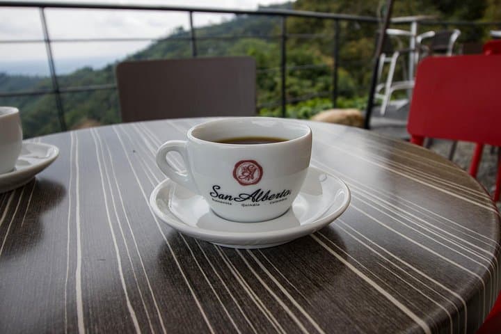 Hacienda San Alberto Coffee Farm Experience from Salento — Plantation Tour & Cupping photo 4