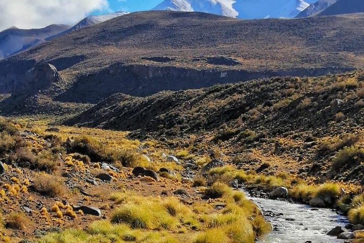 Private Andean Fly-Fishing Day from Mendoza: Uco Valley Rivers and Asado photo 6