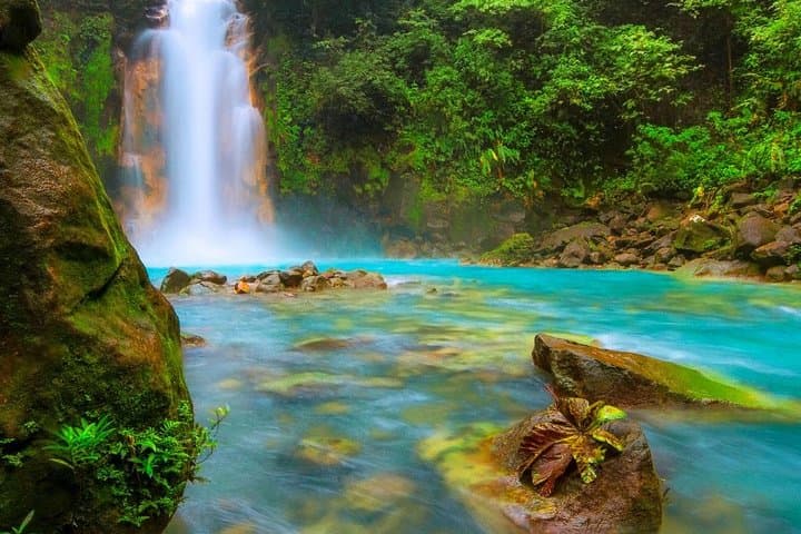 Day Trip to Río Celeste from San José — Waterfall, Blue Lagoon & Private Swim photo 3