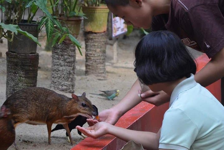 Langkawi Wildlife Park: Entry Guide to the Interactive Bird & Wildlife Park photo 2