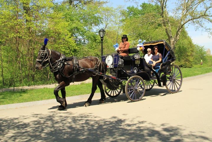 Central Park Horse Carriage Ride — Official NYC Carriage Tours Since 1979 photo 2