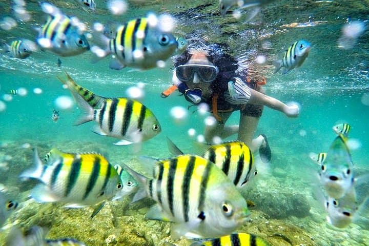 Snorkel Nglambor Beach: Private Tour from Yogyakarta to Pristine Coral Coves