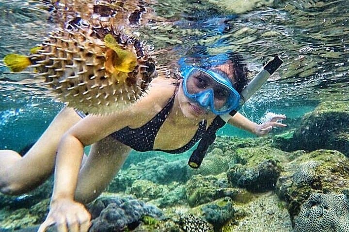 Snorkel Nglambor Beach: Private Tour from Yogyakarta to Pristine Coral Coves photo 4