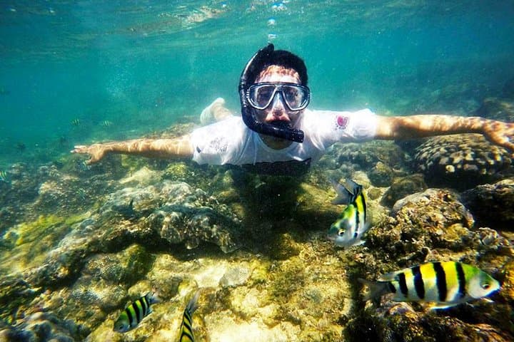Snorkel Nglambor Beach: Private Tour from Yogyakarta to Pristine Coral Coves photo 6