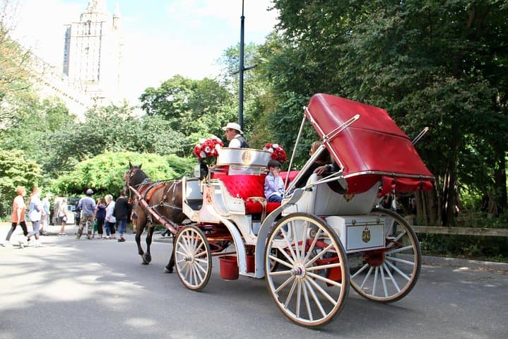 Central Park Horse Carriage Ride — Official NYC Carriage Tours Since 1979 photo 3