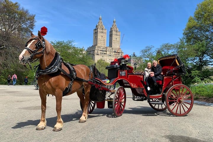 Central Park Horse Carriage Ride — Official NYC Carriage Tours Since 1979 photo 4