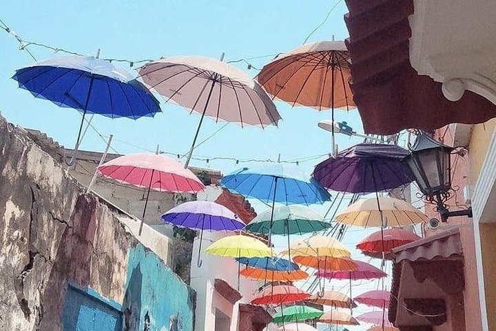 Authentic Cartagena City Tour: Getsemaní Murals, Bazurto Market & La Boquilla Mangroves photo 4