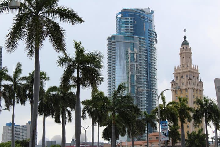 Miami City and Speedboat Adventure: Bayside to Millionaire's Row photo 4