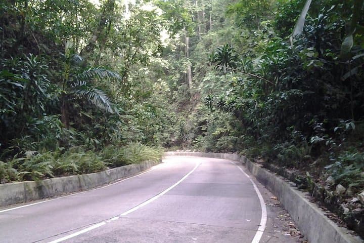 Private Falmouth Van Day Trip to Dunn's River Falls and Tropical Garden photo 2