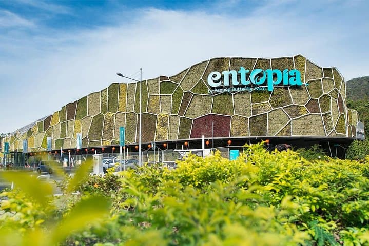 Explore Entopia Penang: Butterfly Sanctuary, Bug Lab & Interactive Nature Center