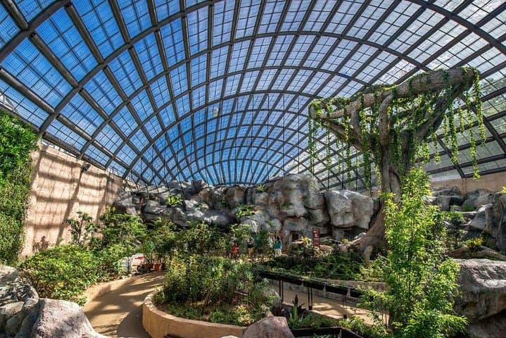 Explore Entopia Penang: Butterfly Sanctuary, Bug Lab & Interactive Nature Center photo 2