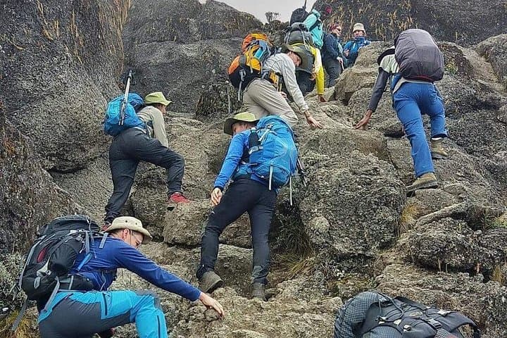 8-Day Lemosho Route Kilimanjaro Climb: Complete 8-Day Summit Guide photo 4
