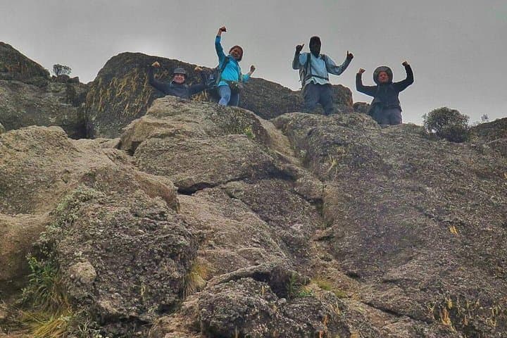 8-Day Lemosho Route Kilimanjaro Climb: Complete 8-Day Summit Guide photo 5