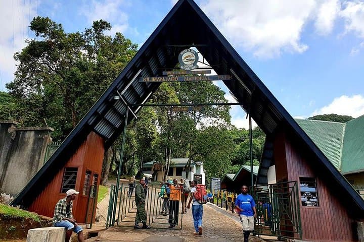 6-Day Machame Route Hike on Mount Kilimanjaro — Scenic, High-Success Trek photo 3