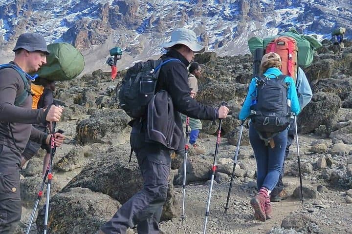 6-Day Machame Route Hike on Mount Kilimanjaro — Scenic, High-Success Trek photo 5