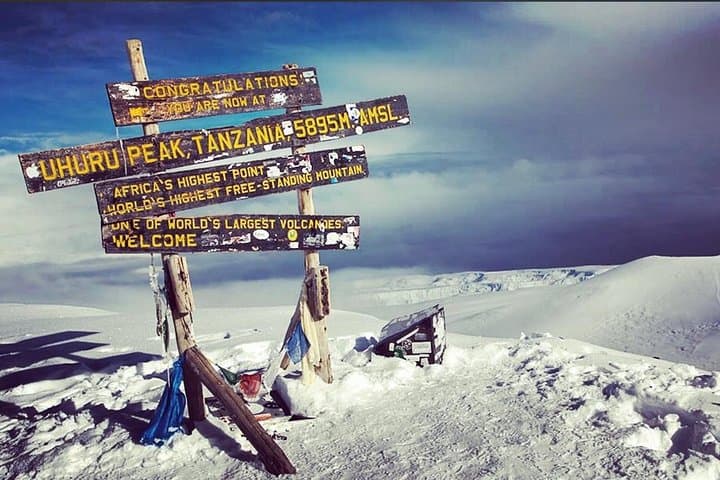 8-Day Lemosho Route Kilimanjaro Climb: Complete 8-Day Summit Guide photo 6