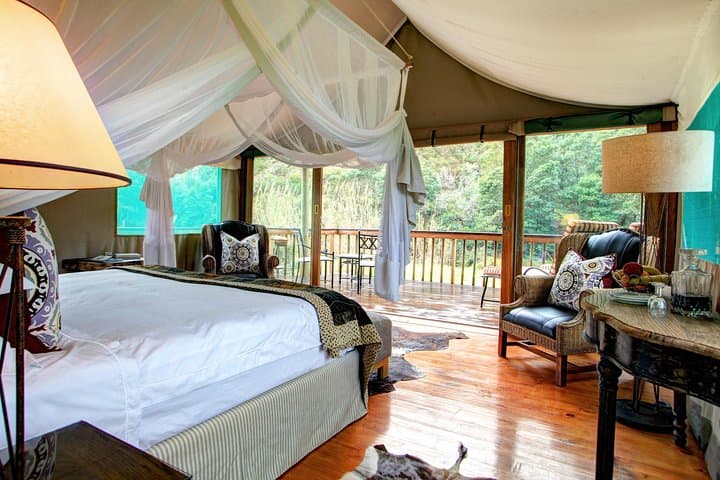 Whale Coast to Bushveld: 3-Day Hermanus and Botlierskop Safari from Cape Town