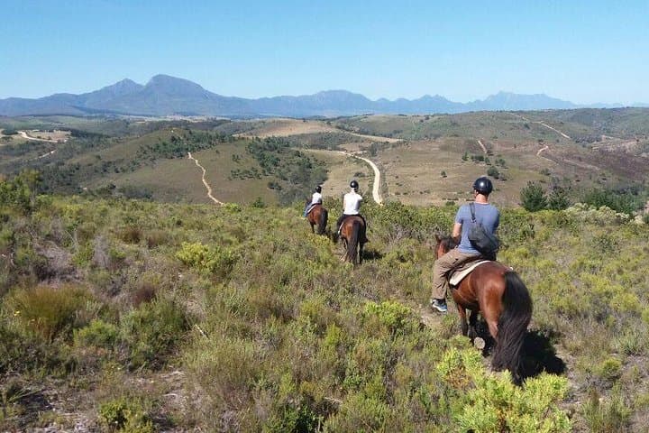 Whale Coast to Bushveld: 3-Day Hermanus and Botlierskop Safari from Cape Town photo 5