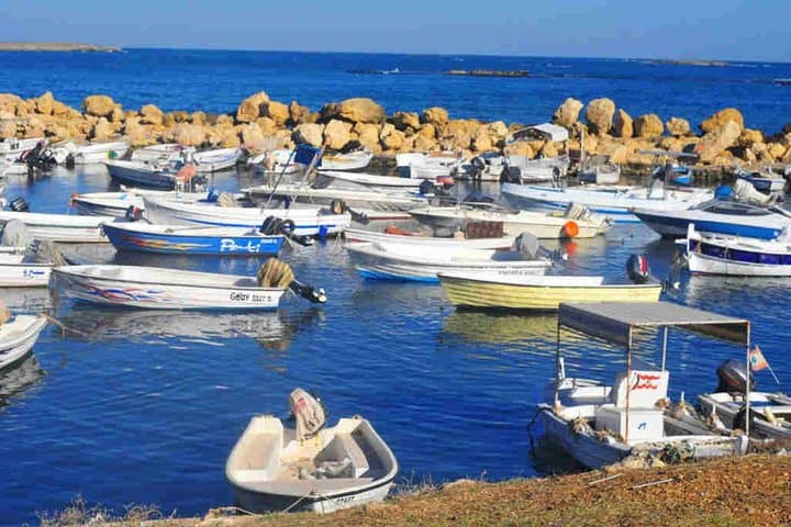 Day Trip from Beirut: Tripoli & Batroun Small-Group Cultural Tour with Lunch photo 4