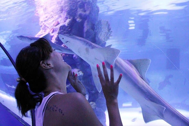 Antalya Tunnel Aquarium & Düden Waterfall Day Trip from Side