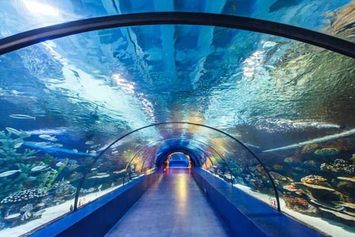 Antalya Tunnel Aquarium & Düden Waterfall Day Trip from Side photo 2