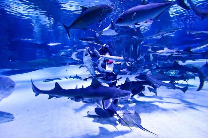 Antalya Tunnel Aquarium & Düden Waterfall Day Trip from Side photo 4