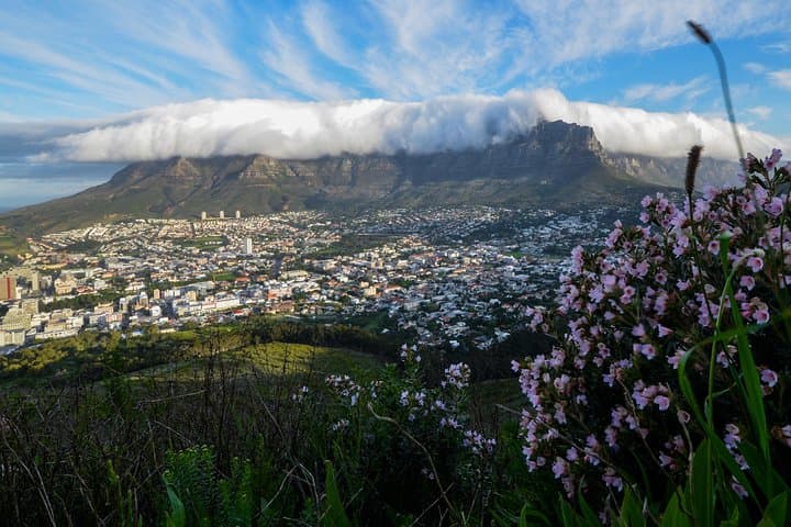 Full-Day Private Cape Town City Tour and Kirstenbosch Gardens photo 2