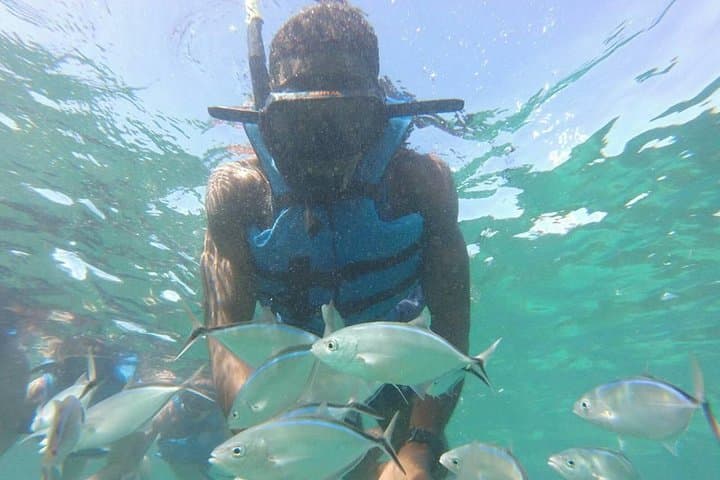 Punta Cana Catamaran Snorkel, Snuba & Parasailing from Bávaro