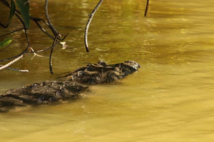 Private Yucatan Discovery Tour: Chichén Itzá, Uxmal, Cenotes & Flamingos photo 3