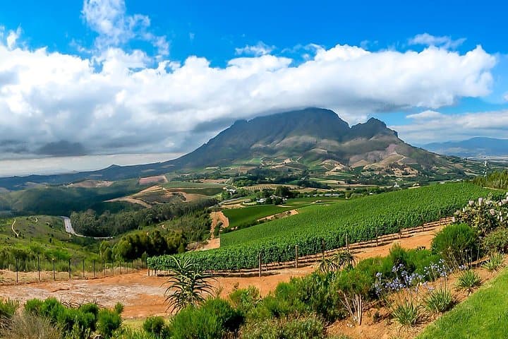 Cape Wine Valley Tours: Full-Day Stellenbosch & Franschhoek Wine Route Experience photo 6