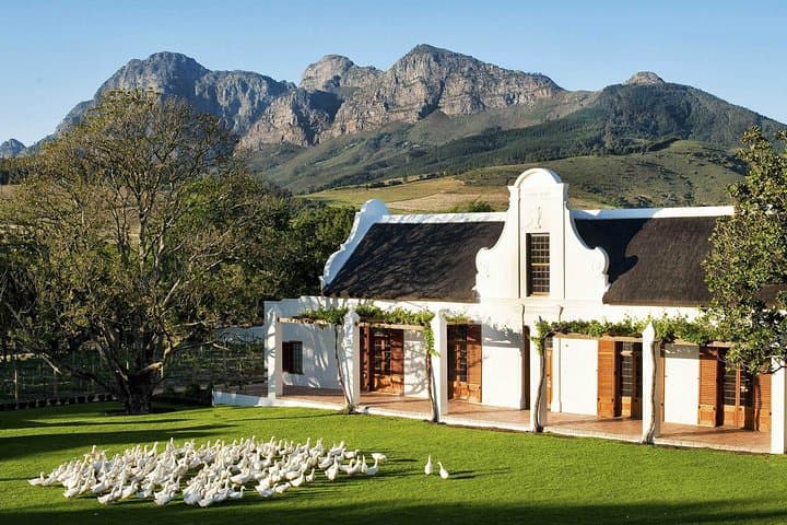 Private Stellenbosch Wine Tasting Tour from Cape Town — Cellars, Cheese & Franschhoek Tram photo 4