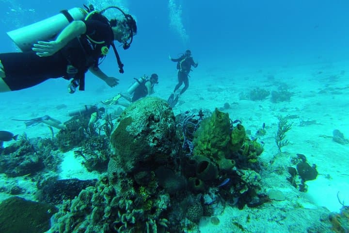 Chankanaab Cozumel Scuba: 1‑Tank Intro Dive in a Marine Park photo 4