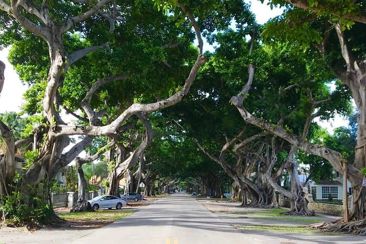 Miami Private City Tour — Off-the-Beaten-Path Highlights & Local Stops photo 3