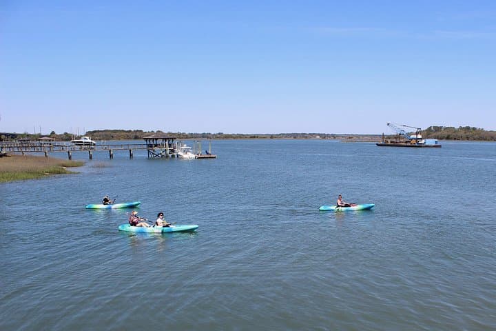Skull Creek Guided Kayak Tour in Hilton Head — Dolphins & Salt Marsh Wildlife photo 3