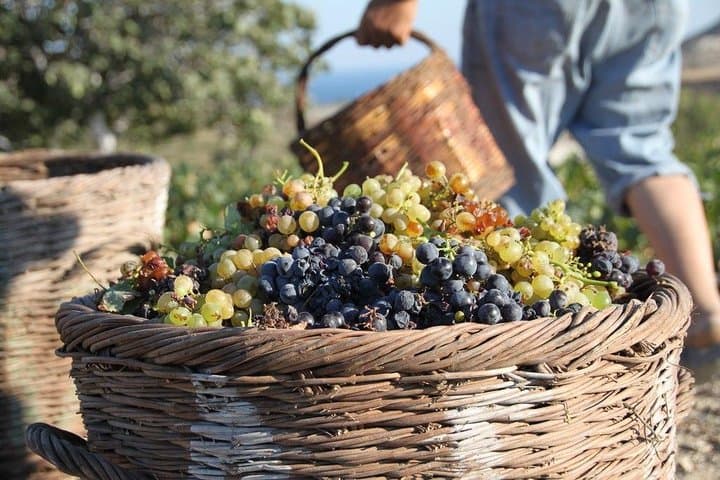 Santorini All-Inclusive Full-Day Private Tour: Caldera Views, Oia & Wineries photo 5