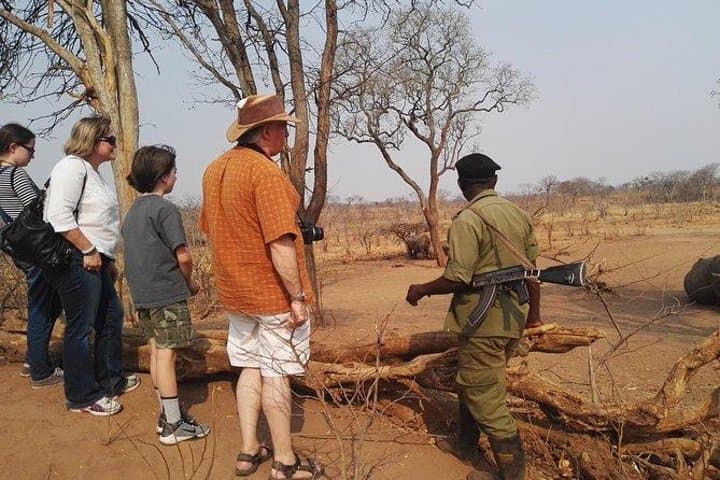 Game Drive and White Rhino Tracking in Mosi-oa-Tunya National Park