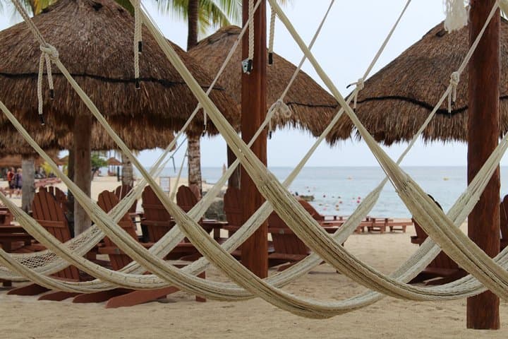 Chankanaab Park Cozumel: Snorkel the Mesoamerican Reef with Lunch and Beach Access photo 5