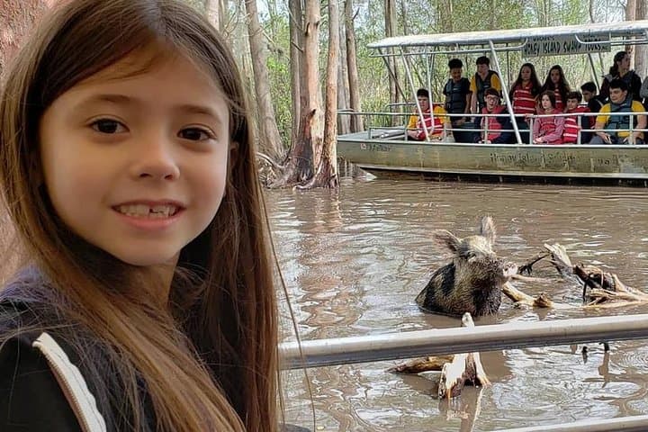 Honey Island Swamp Boat Tour from New Orleans — Guided Wildlife Cruise photo 2