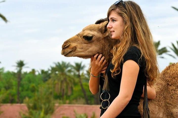 Day Trip to Agafay Desert & Atlas Mountains with Camel Ride from Marrakech photo 2