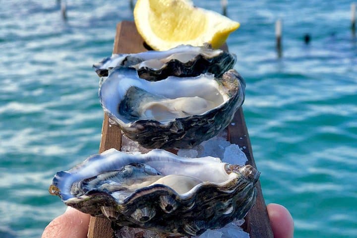 Coffin Bay Oyster, Ocean & Nature Tour — Coastal Walks, Tastings & Wildlife