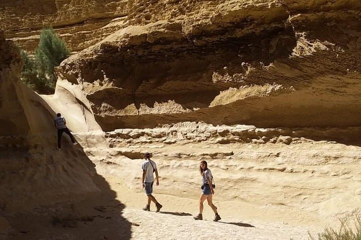 Canyon of the Lost: Hiking Ica's Cañón de los Perdidos photo 6
