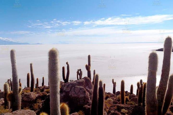 Private 3-Day Uyuni Salt Flats Tour: Incahuasi, Flamingos & High-Altitude Lagunas photo 6
