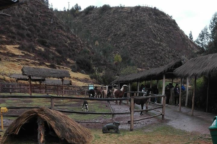 5-Day Sacred Valley, Machu Picchu & Rainbow Mountain Adventure photo 4