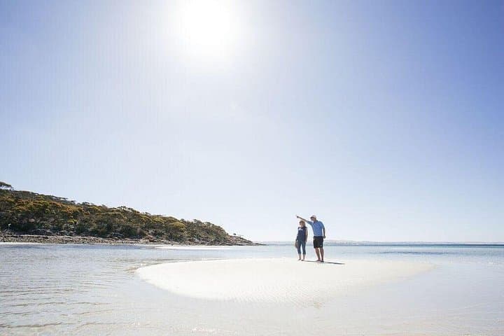 Port Lincoln Seafood, Dunes & Koalas: Full-Day 4WD Adventure photo 2