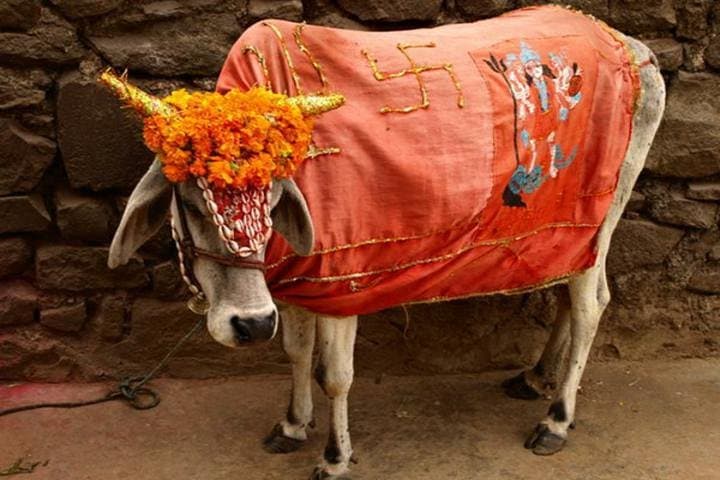 Haridwar & Rishikesh Private Day Tour from Delhi: Ganges Ghats, Suspension Bridges & Ashrams photo 4