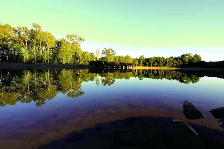 Jingyue Pool: Private Day Tour and Sheraton Buffet in Changchun photo 6