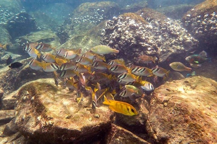 Discover Scuba Diving at Koh Kood — Beginner Reef Dives from Ko Kut
