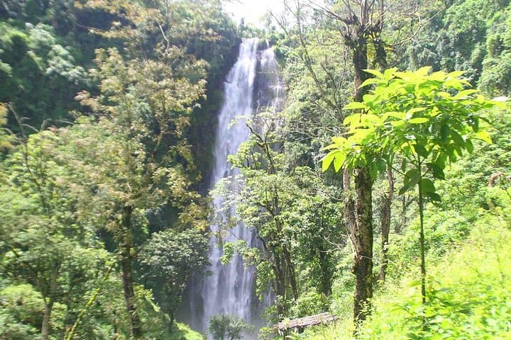 Materuni Waterfalls Day Hike: Coffee-Farm Trails & Cold Cascade near Moshi