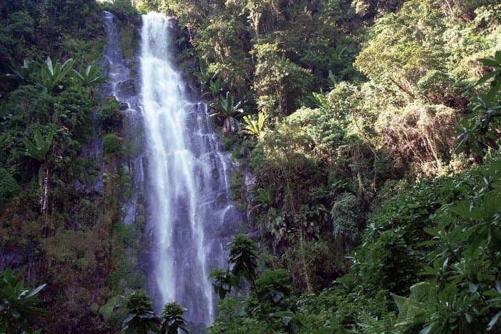 Materuni Waterfalls Day Hike: Coffee-Farm Trails & Cold Cascade near Moshi photo 2